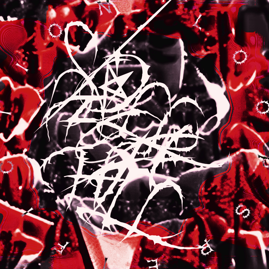 Reification Loops LP